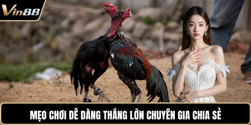 Mẹo chơi dễ dàng thắng lớn chuyên gia chia sẻ
